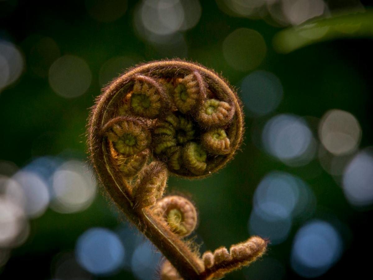 Spring into Spirals