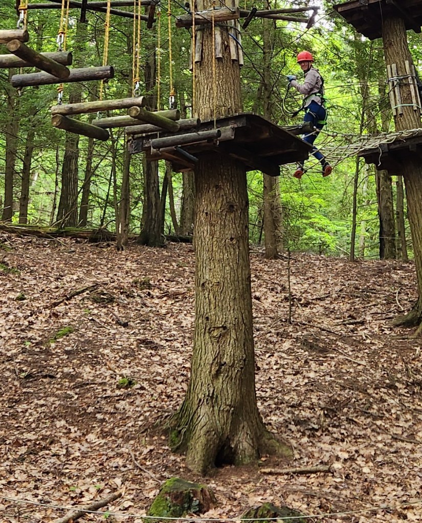 A person in a safety harness walks on a ropes course between two trees.
